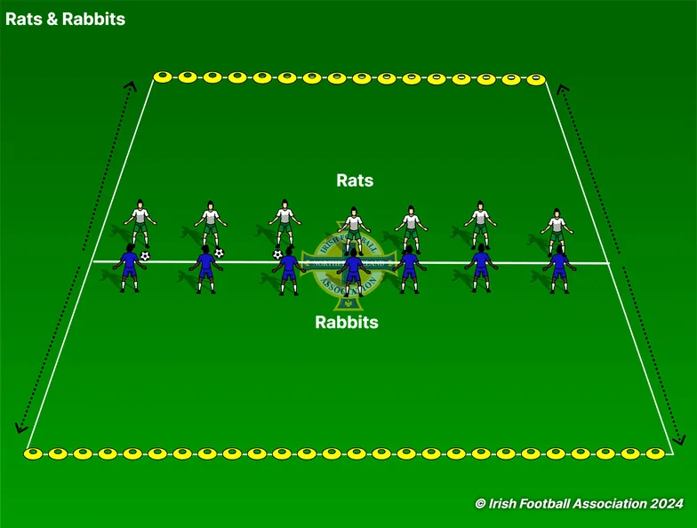 Rats and Rabbits set-up, from the Irish FA Grassroots Resource Booklet