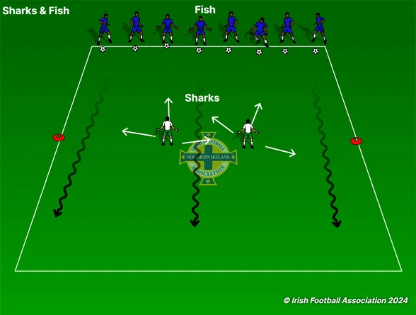 Sharks and Fish set-up, from the Irish FA Grassroots Resource Booklet